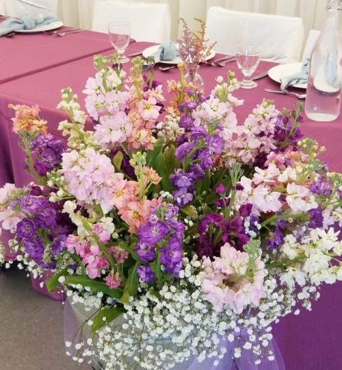 67077662_410376969687654_248478903344037888_n